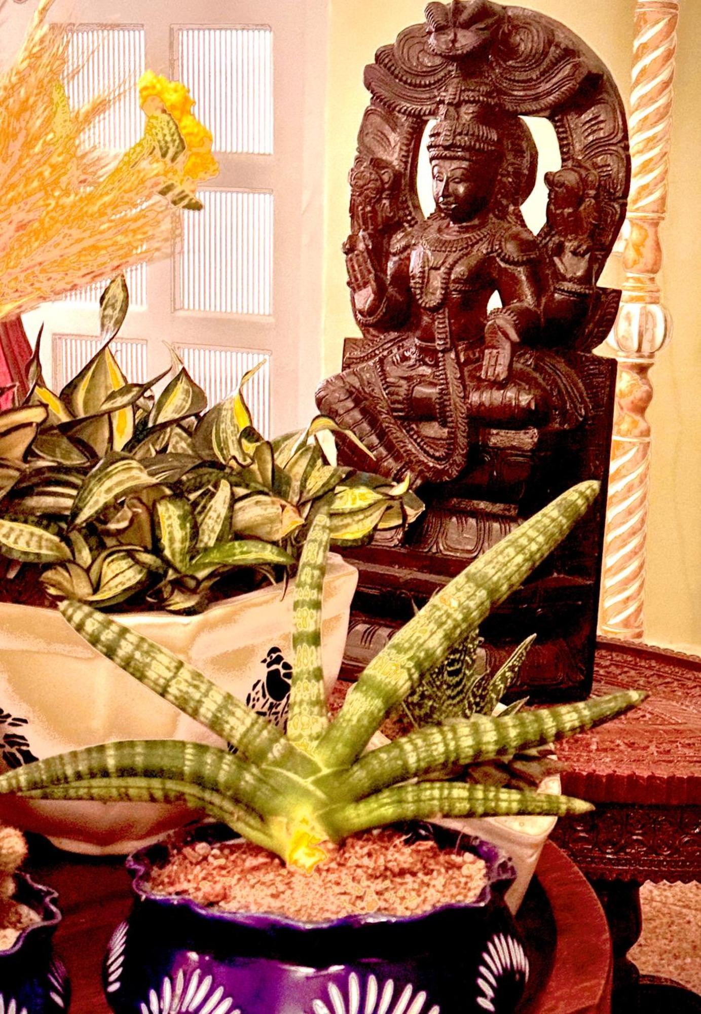 Vraj Vilas Vrindavan Luaran gambar